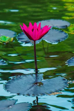 潮流达人 3